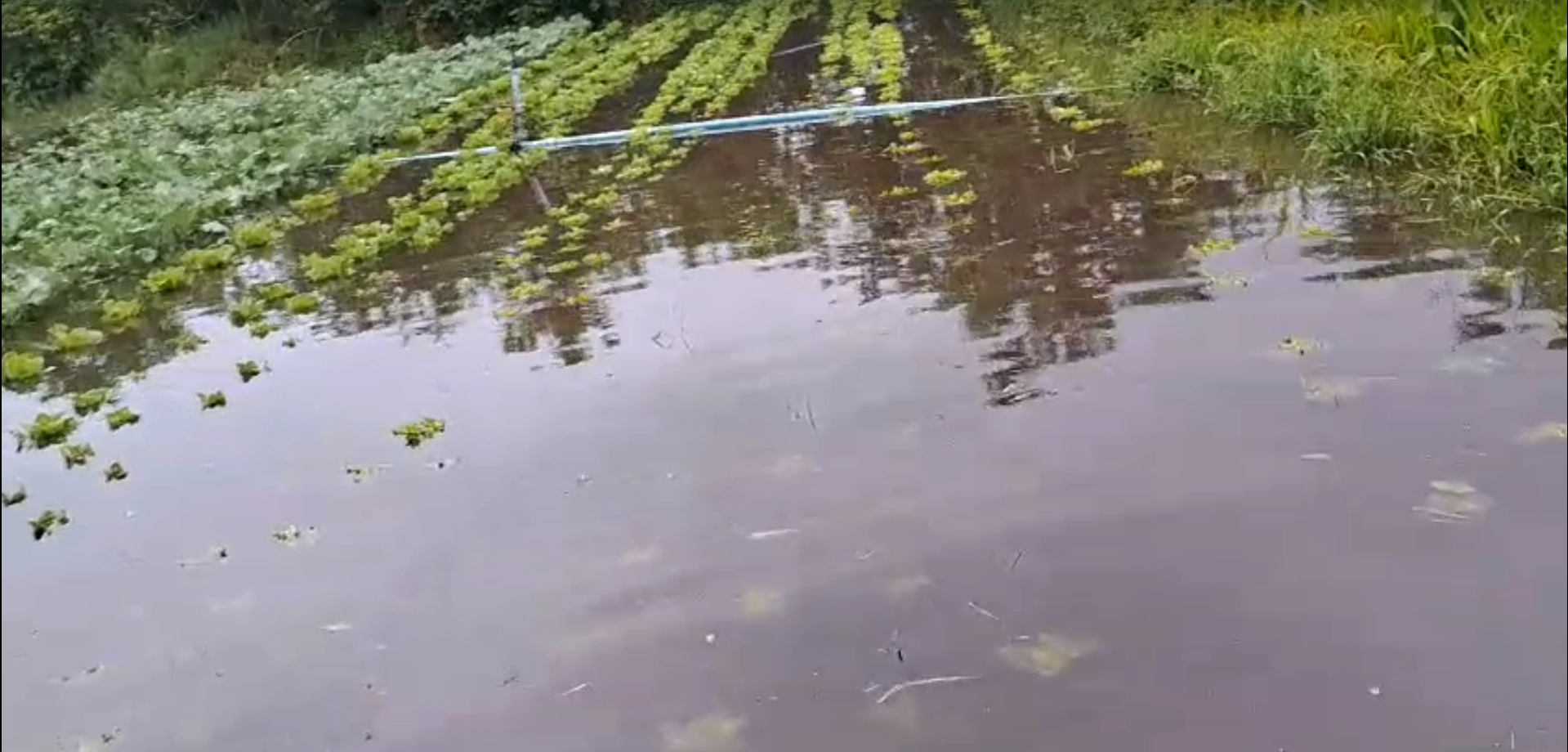 Alto Tietê registra diversos pontos de alagamento após madrugada de chuvas