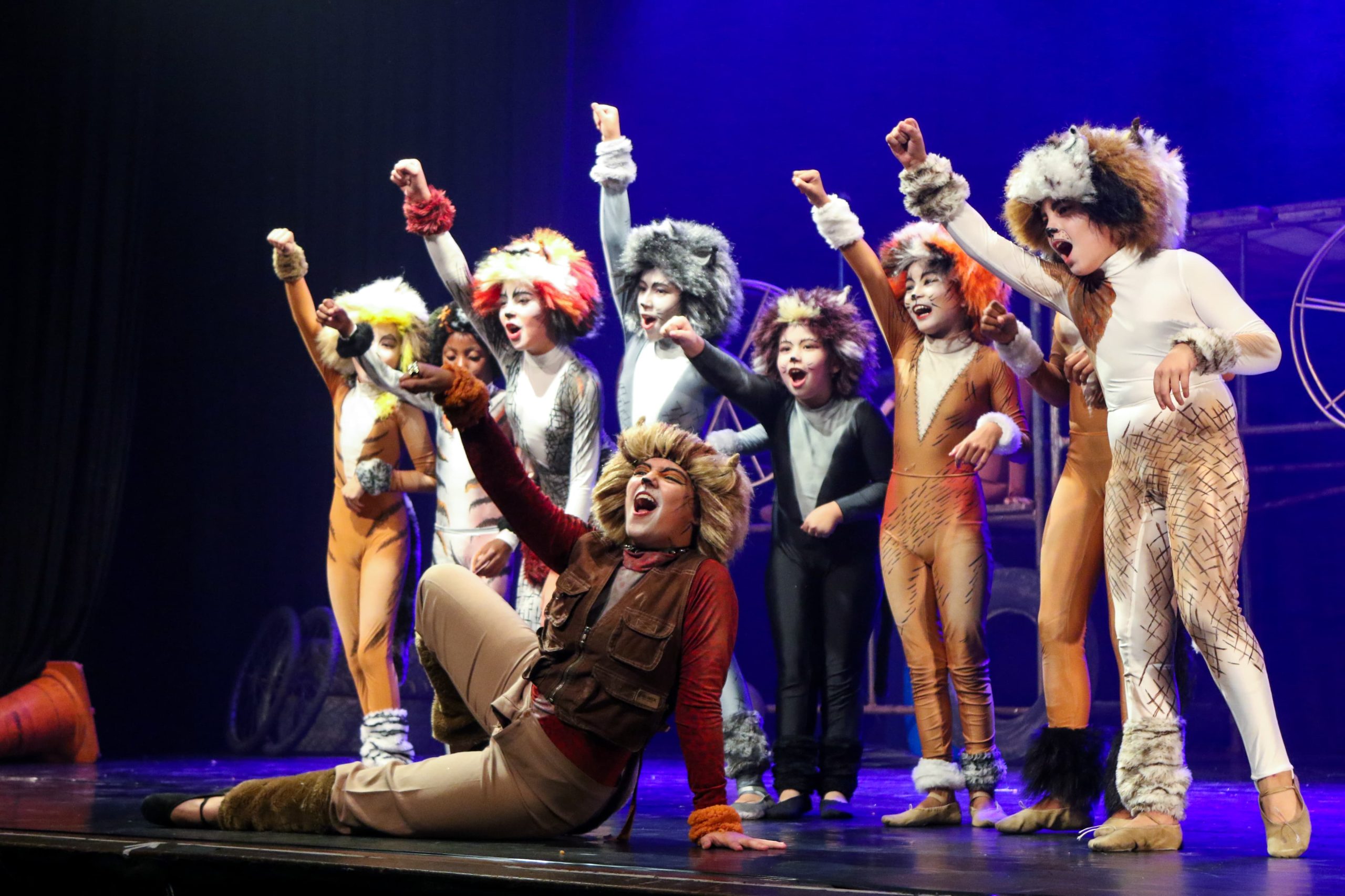 ‘Cats: O Musical’ é atração no dia 23, no Theatro Vasques
