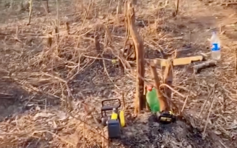 VÍDEO: Homens são flagrados ateando fogo em mata e cortando árvores em Itaquá