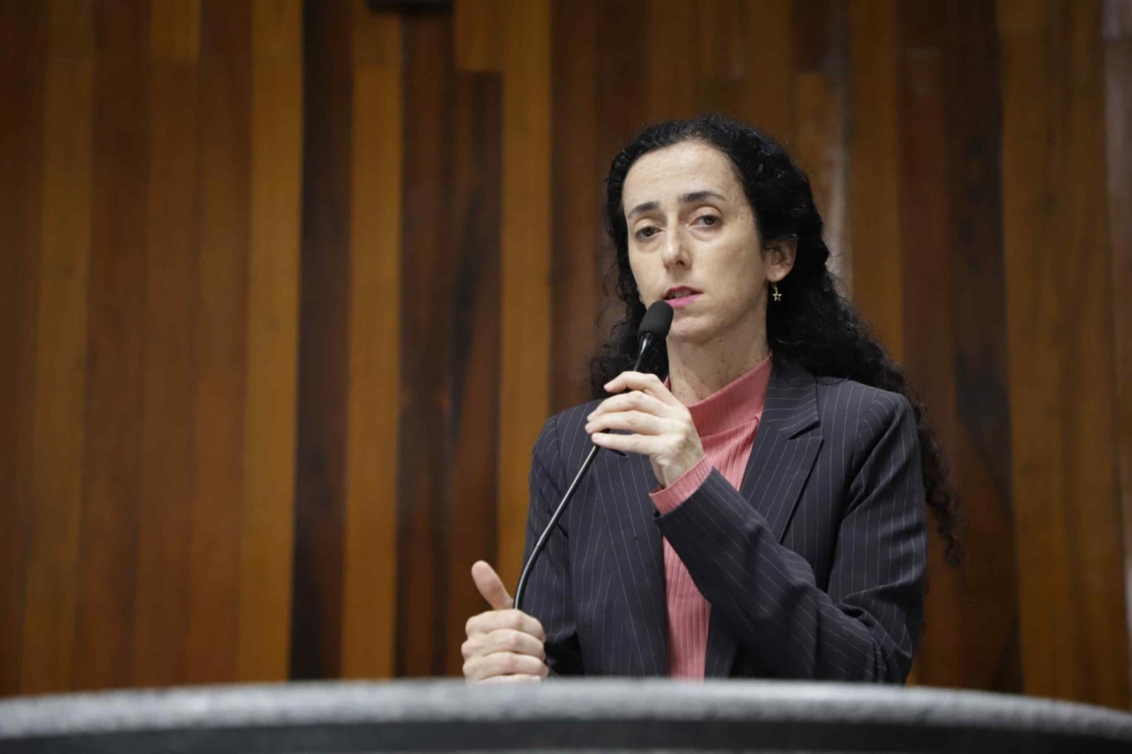 Vereadora de Mogi repudia episódio da cabeça de porco no clássico paulista