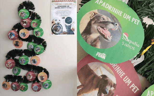 ONG Fera promove campanha de Natal voltada aos pets