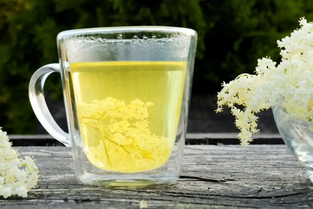 xícara de vidro com chá amarelo de sabugueiro e flores brancas do lado