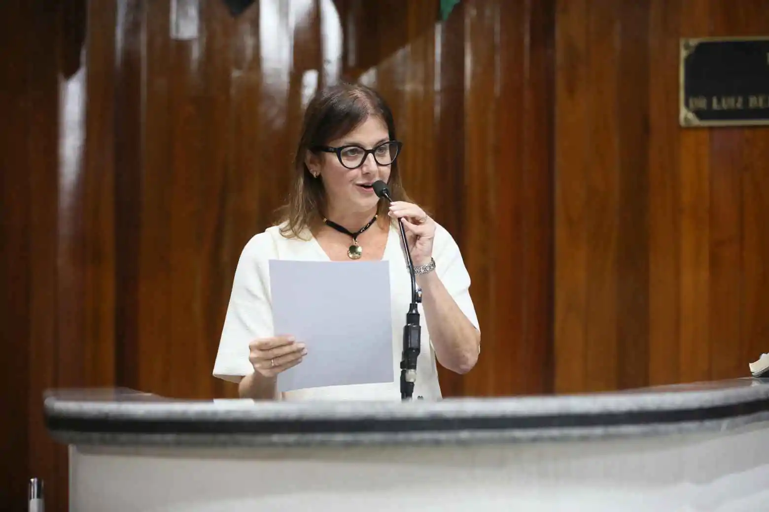Mara assinou 60% dos projetos aprovados nos 100 primeiros dias da Câmara de Mogi