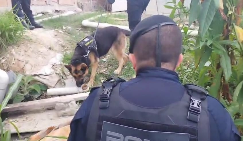 Operação conjunta entre Polícia e GCM de Mogi apreende mais de 300 porções de droga