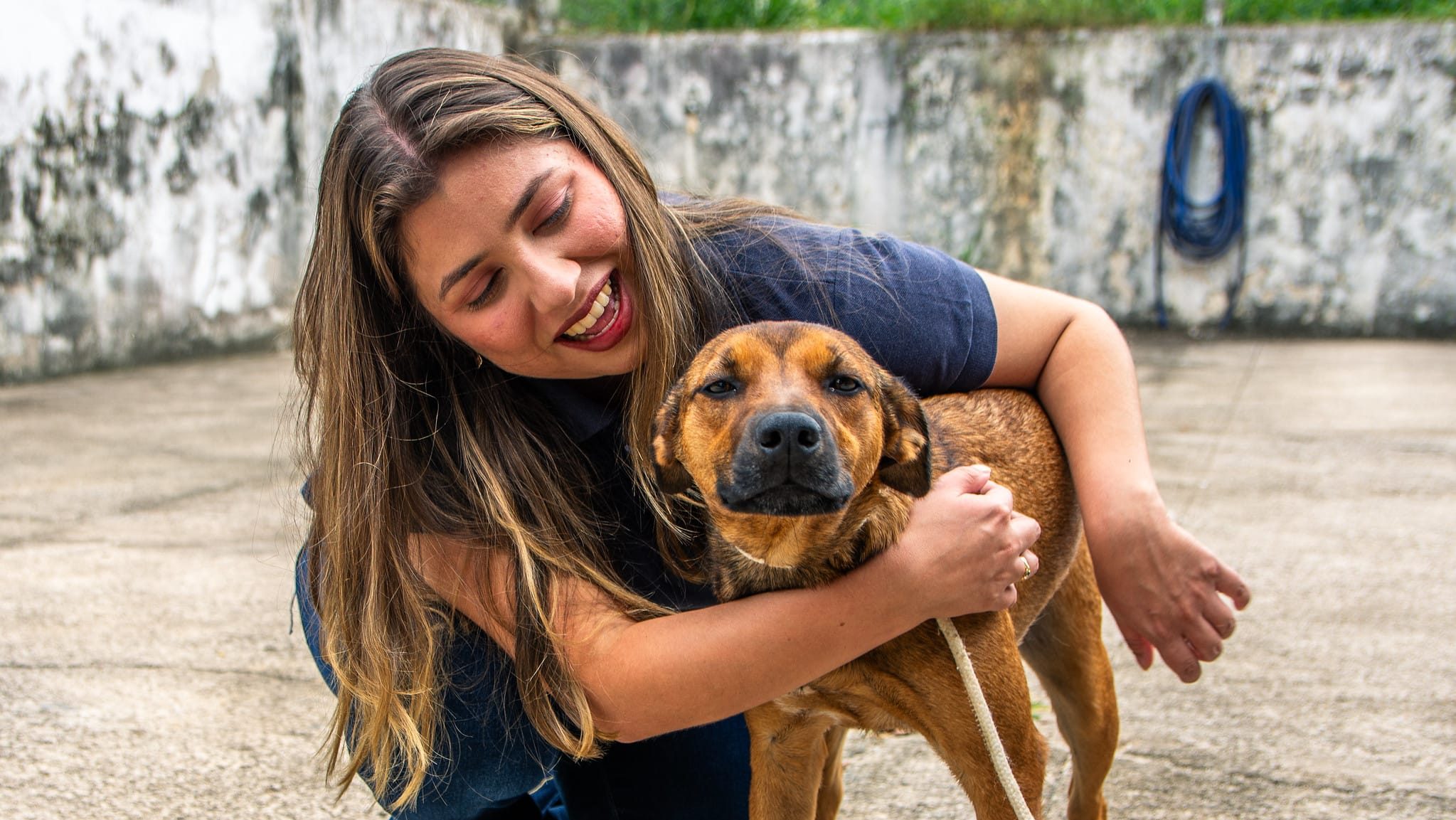 Guararema oferece castração gratuita para cães e gatos