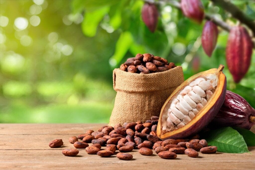 7 benefícios do cacau para a saúde e como consumi-lo
