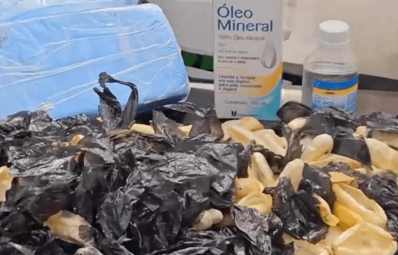 GCM descobre preparo de drogas para transporte internacional em Itaquaquecetuba