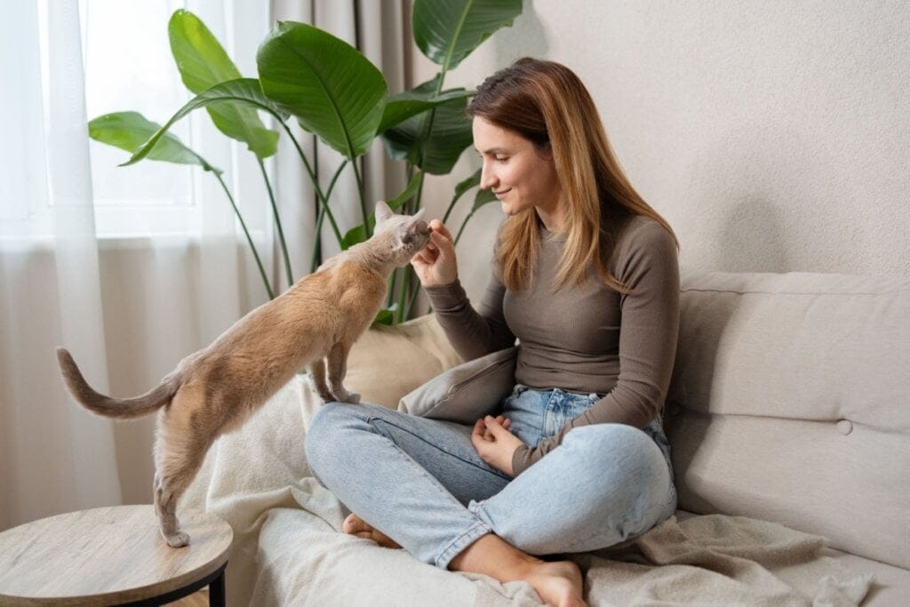 3 dicas para oferecer petiscos aos animais de estimação