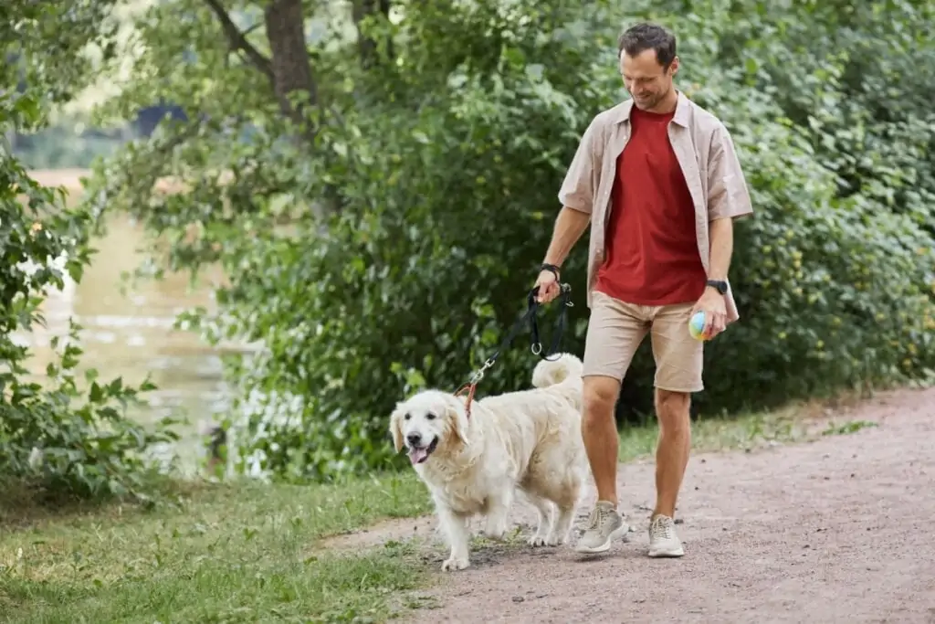 imagem de homem de camiseta vermelha e calça e camisa bege caminhando com cachorro golden retriever em ambiente externo com árvores