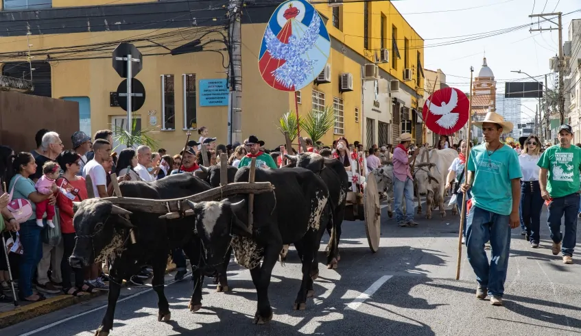 Cortejo percorre principais ruas da cidade | Divulgação/PMMC 