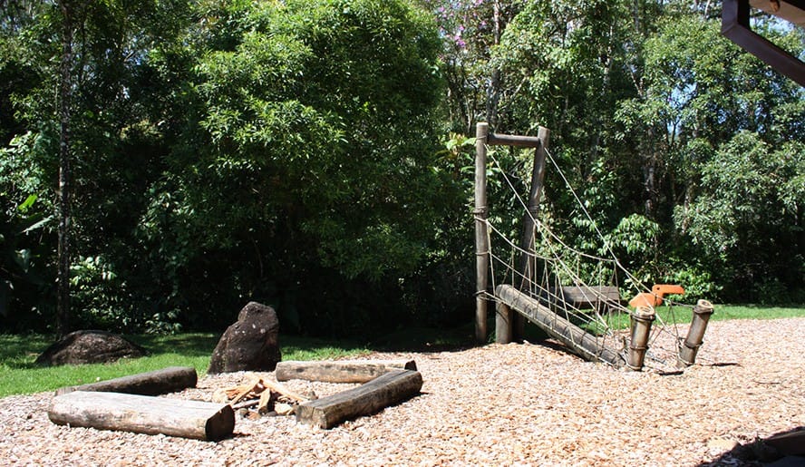 'Um Dia no Parque' promove conexão com o meio ambiente e educação prática para jovens em Mogi