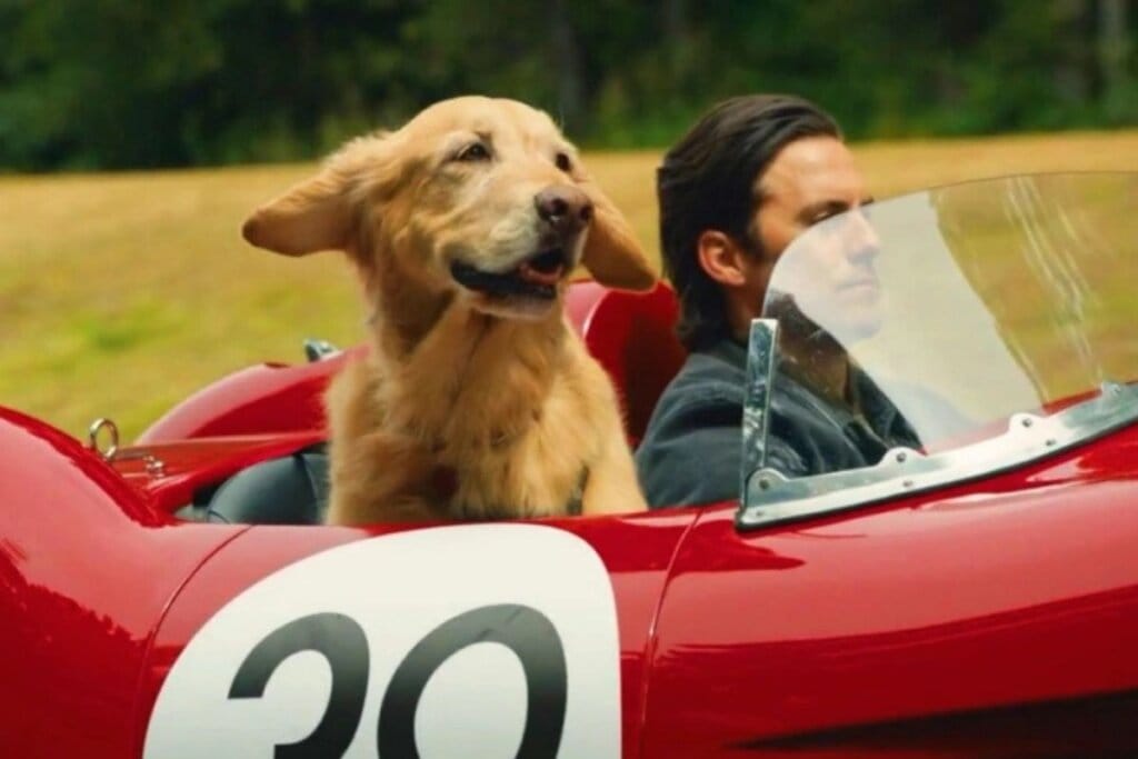 Cena do filme "A Arte de Correr na Chuva" com um cachorro e um homem andando de carro