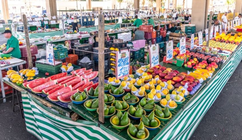 Câmara de Mogi aprova atualização da lei sobre feiras livres