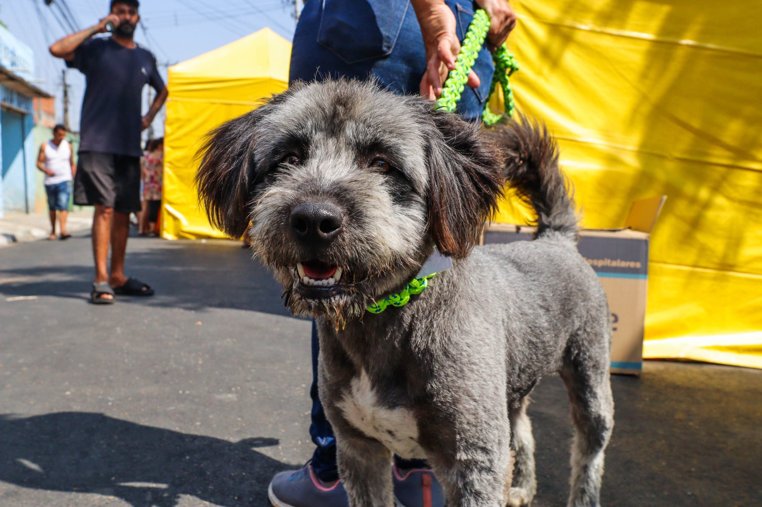 Ferraz realizará o 1° PetPalooza nos dias 20 e 21 de setembro
