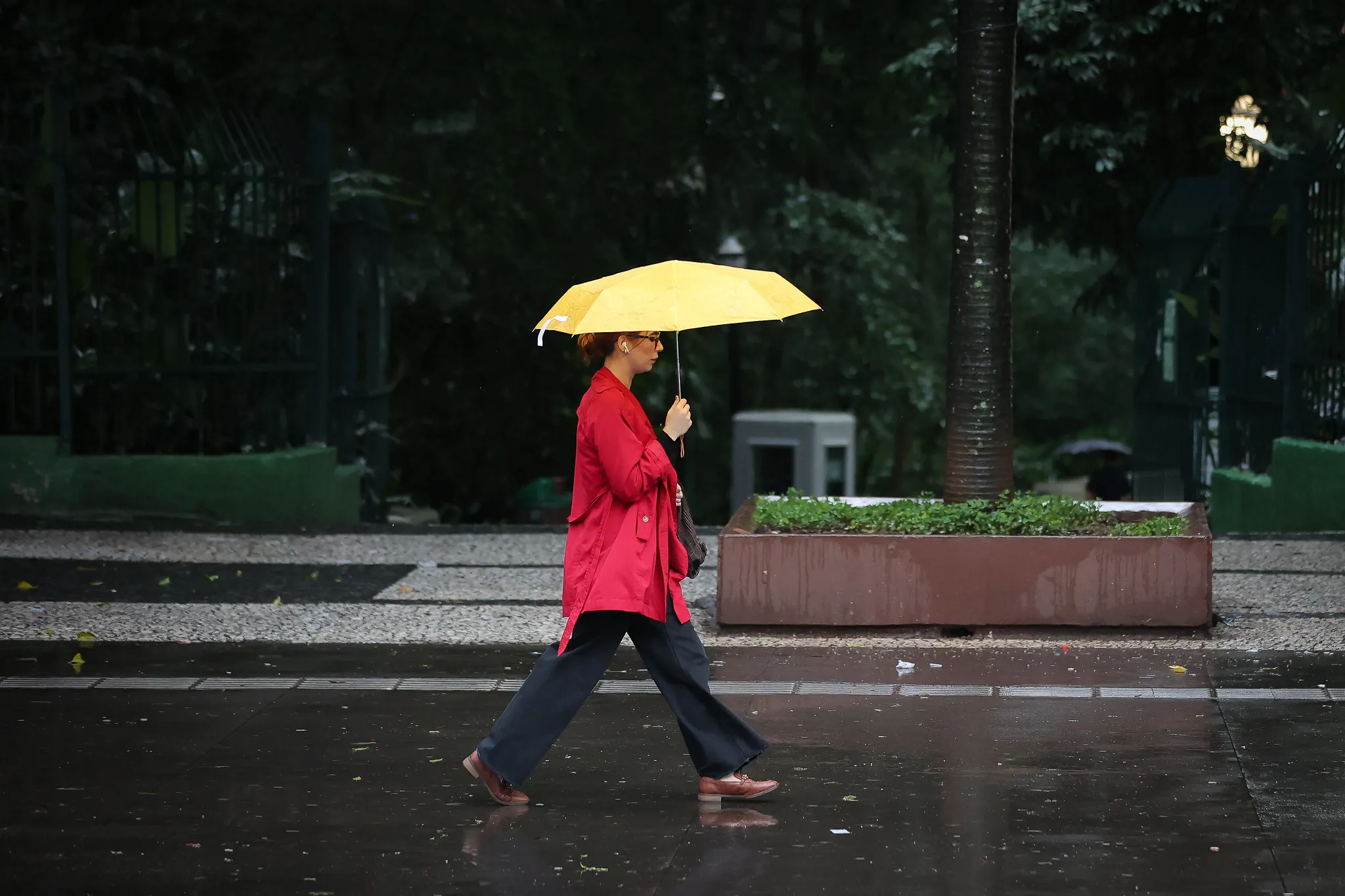Defesa Civil de SP alerta para chuva intensa e rajadas de vento; veja previsão do tempo