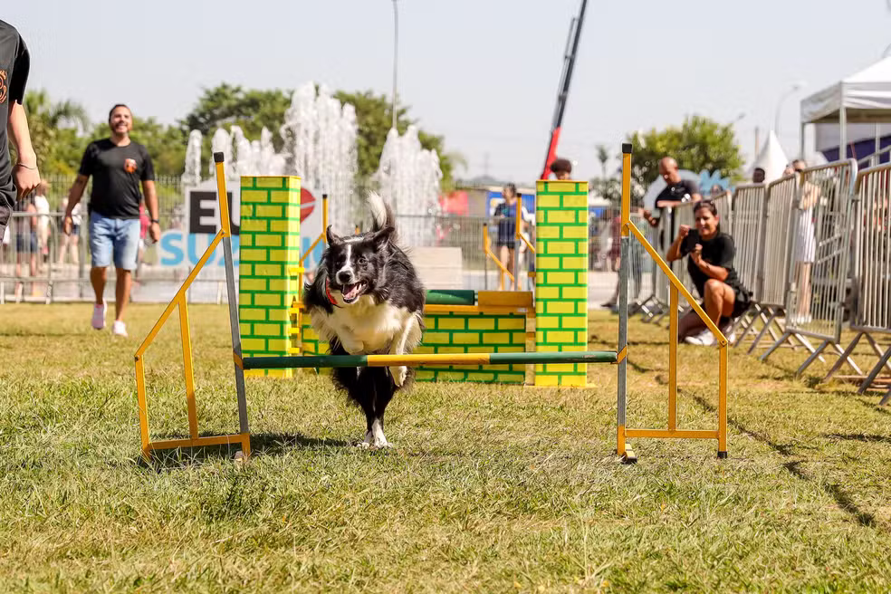4ª edição do Festcão em Suzano acontece no dia 26 de abril