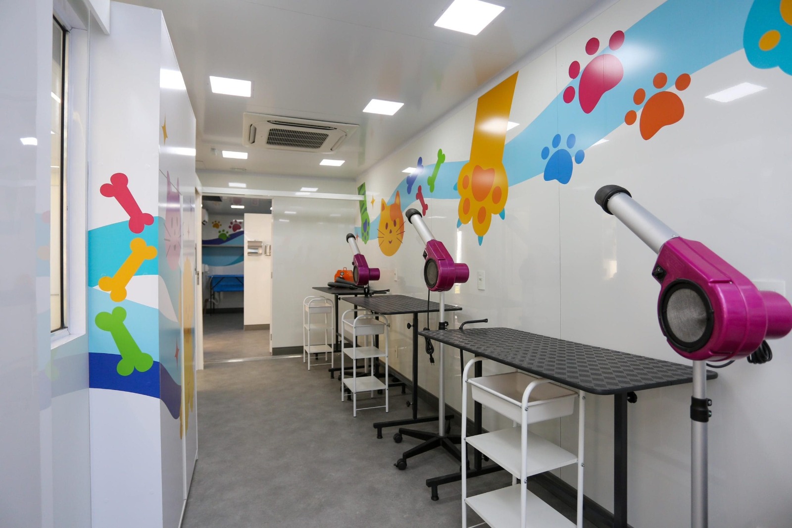 Mogi das Cruzes abre inscrições para curso gratuito de banho e tosa; saiba mais