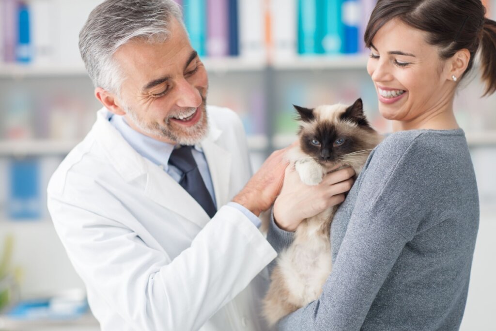 tutora de camiseta cinza sorrindo e segurando gato marrom no colo. veterinário de jaleco branco ao lado com a mão no gato e sorrindo