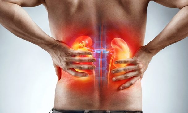 Dia Mundial do Rim: prevenção ainda é a melhor estratégia contra doenças renais