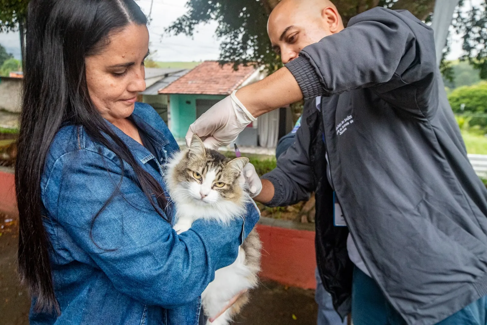 Guararema realiza vacinação de cães e gatos contra raiva nesta sexta-feira