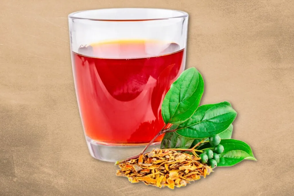 Frângula: para que serve, benefícios e como fazer o chá da planta