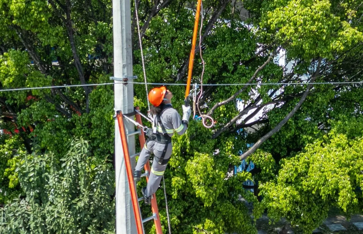 EDP oferece 16 vagas para jovem aprendiz em Mogi das Cruzes; saiba como participar