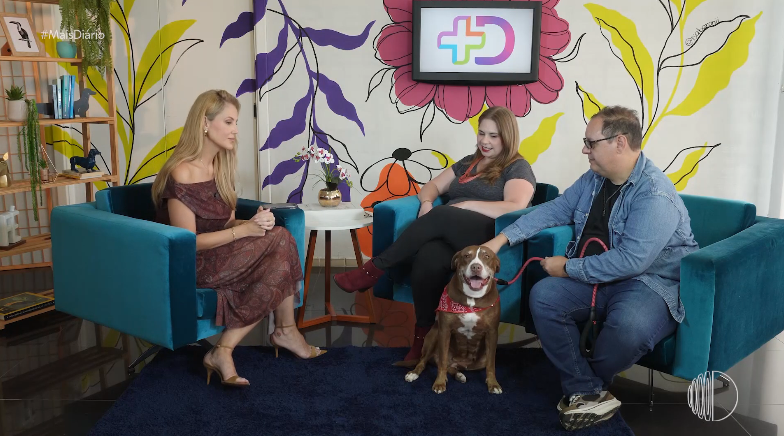 Mais Diário conta histórias sobre adoção e reforça conscientização sobre bem-estar animal