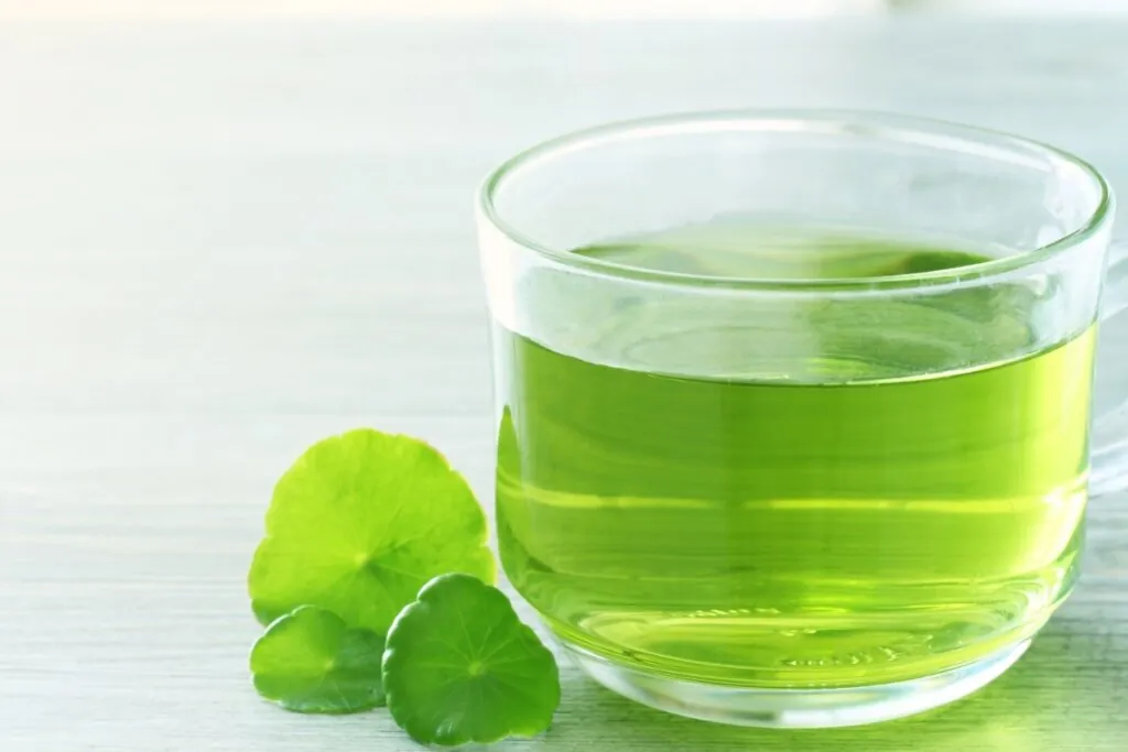 Receitas de chá para dormir: 9 opções naturais para relaxar