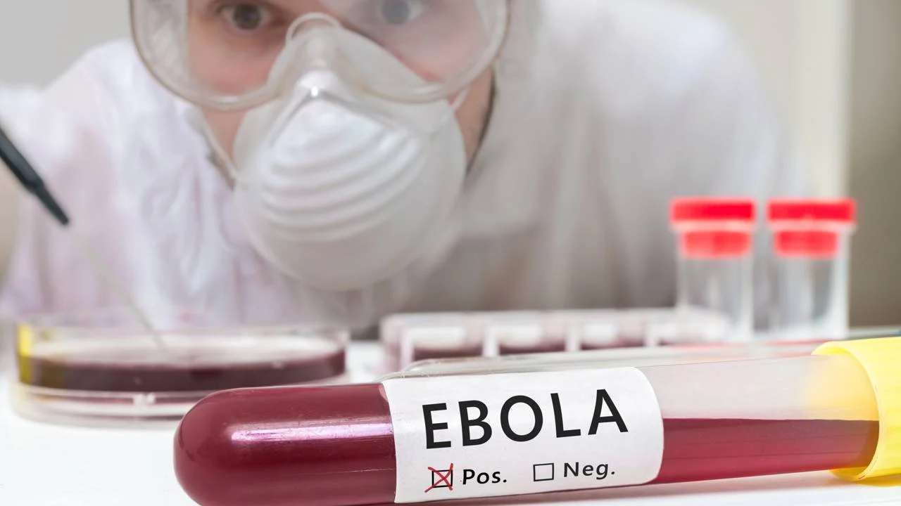 OMS declara surto de ebola na África como emergência internacional