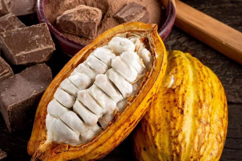Dia Mundial do Chocolate: conheça a história do doce que marcou grandes transformações