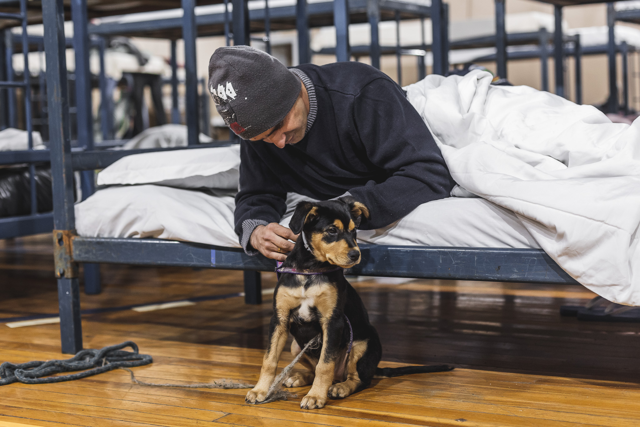 Câmara de Mogi das Cruzes aprova projeto de lei sobre área para pets em abrigos de assistência social