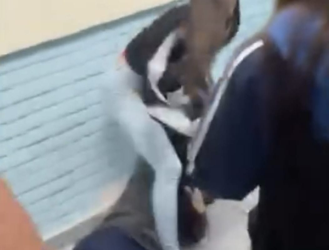 Vídeo: inspetora é agredida em escola estadual de Itaquaquecetuba