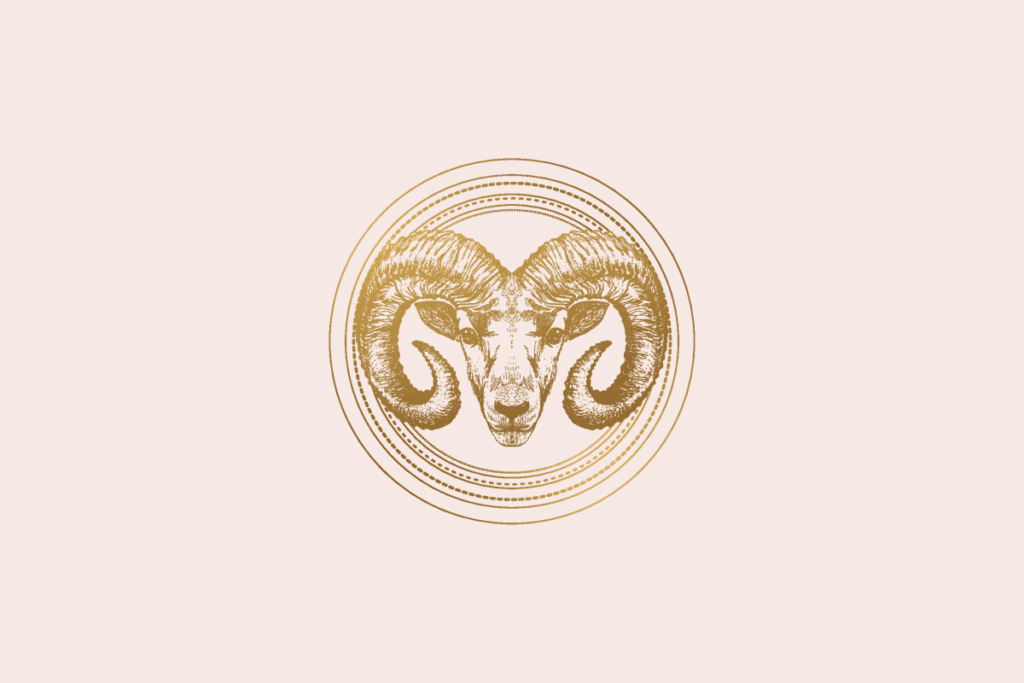 Tarot do dia: previsão para os 12 signos em 21/10/2026