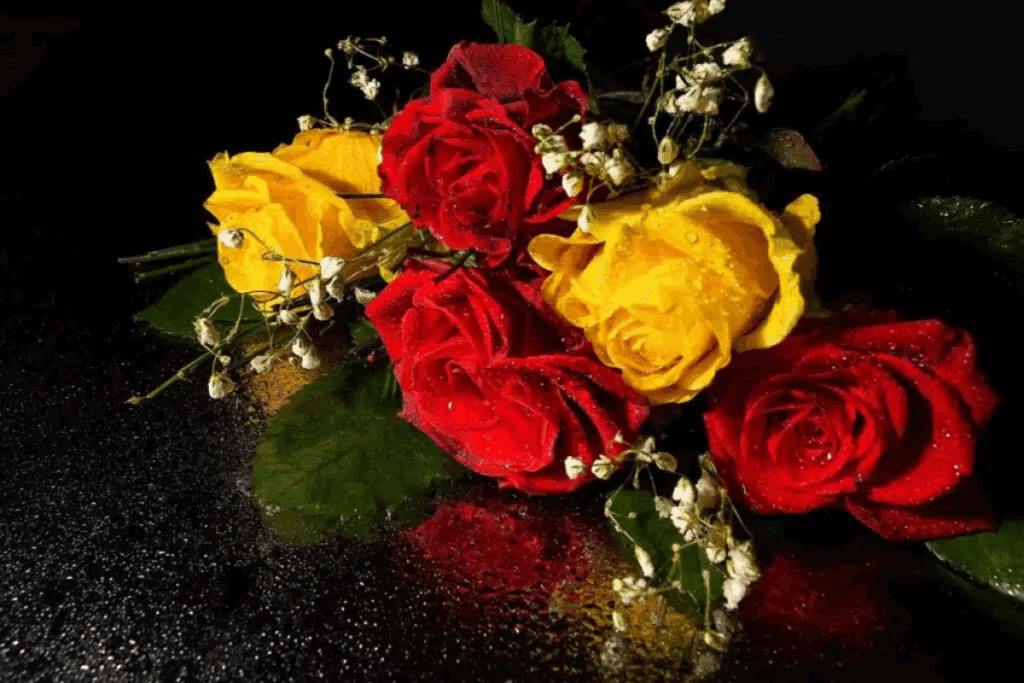 Dia de Nossa Senhora Aparecida: conheça flores para homenagear a santa